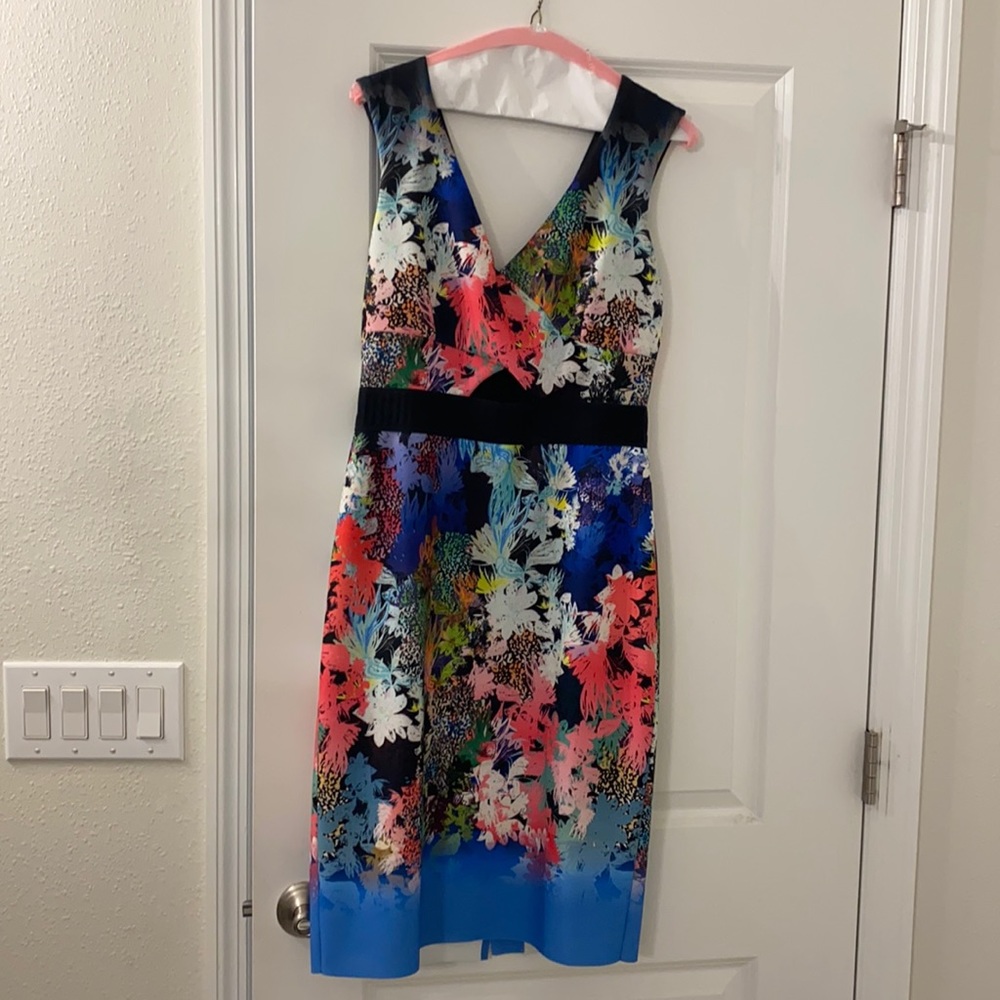 NWOT Milly Dress